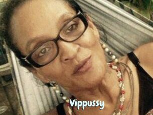 Vippussy