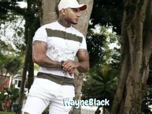 WayneBlack