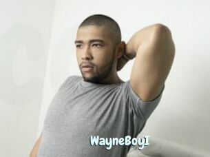 WayneBoyI