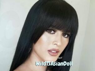 WildTSAsianDoll
