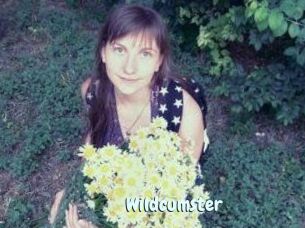 Wildcumster
