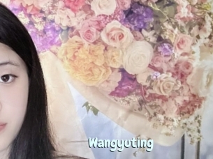 Wangyuting
