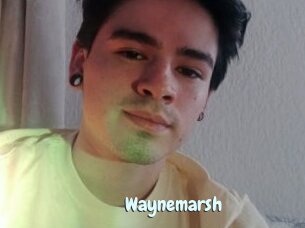 Waynemarsh