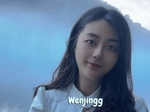 Wenjingg