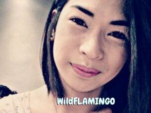 WildFLAMINGO