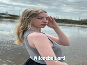 Wilonebolyard