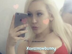 Xoxosnowbunny