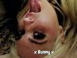 _x_Bunny_x_
