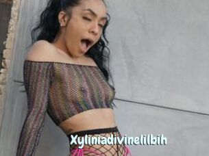 Xyliniadivinelilbih