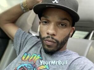 YourMrBull