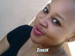 ZinziX