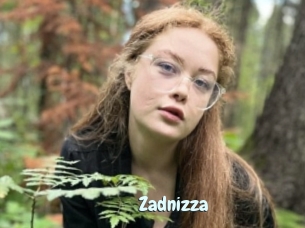 Zadnizza