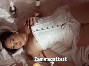 Zamiragattest