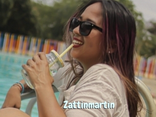 Zattinmartin