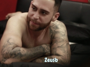 Zeusb