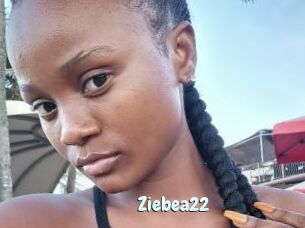 Ziebea22